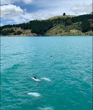 K様　ニュージーランド南島6日間